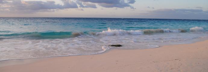 Elbow Beach